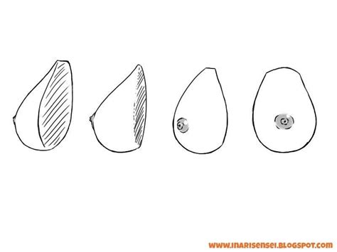 seins dessins|Comment dessiner des seins facilement